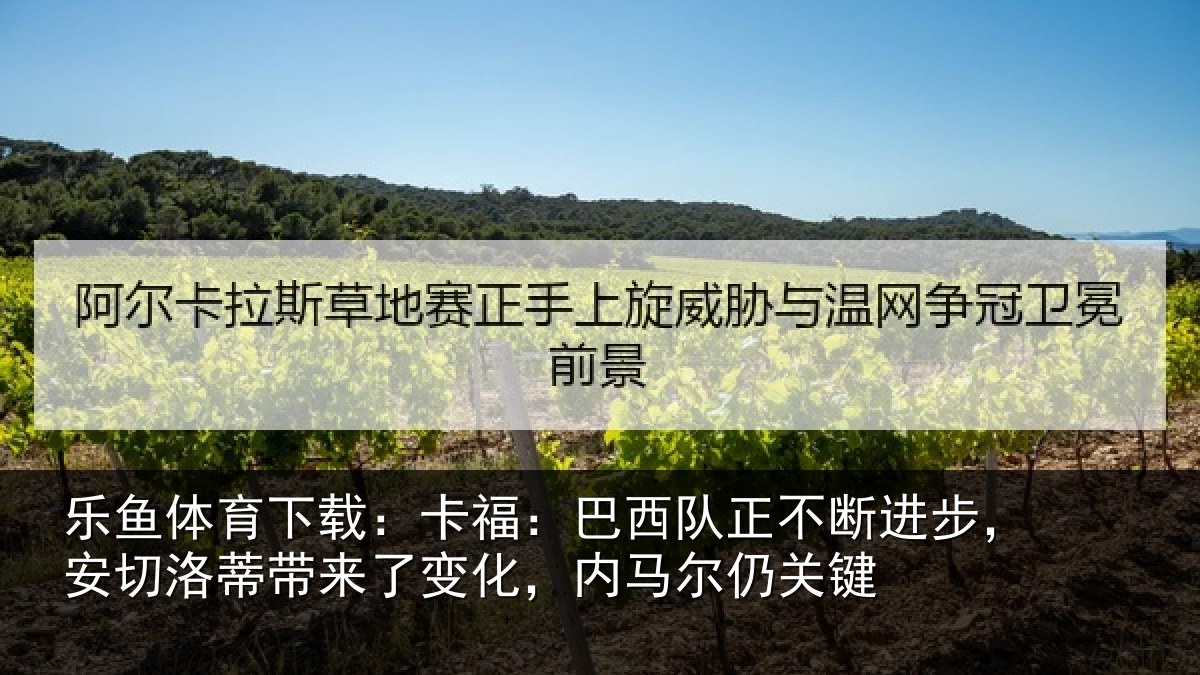 乐鱼体育下载:卡福相关情况,安切相关情况马尔仍关键