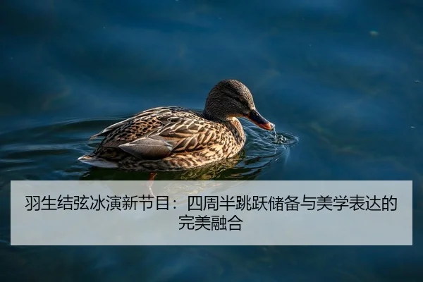 羽生结弦冰演新节目：四周半跳跃储备与美学表达的完美融合