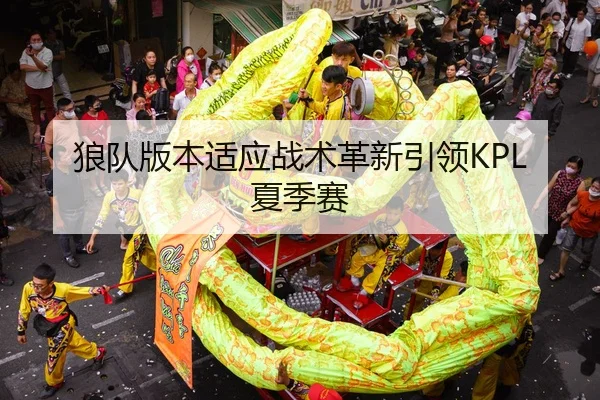 狼队版本适应战术革新引领KPL夏季赛