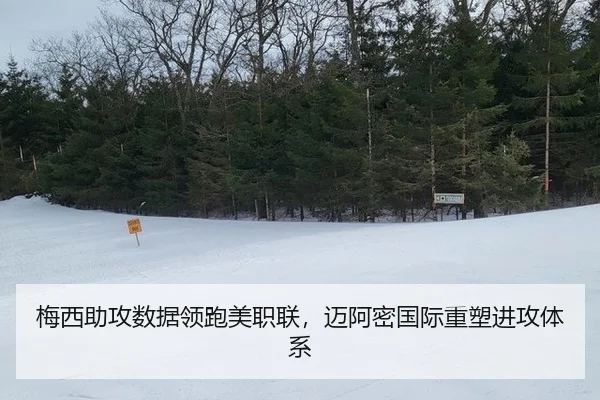 mei-xi-zhu-gong-shu-ju-ling-pao-mei-zhi-lian-mai-a-mi-guo-ji-zhong-su-jin-gong-ti-xi-3-283.jpg